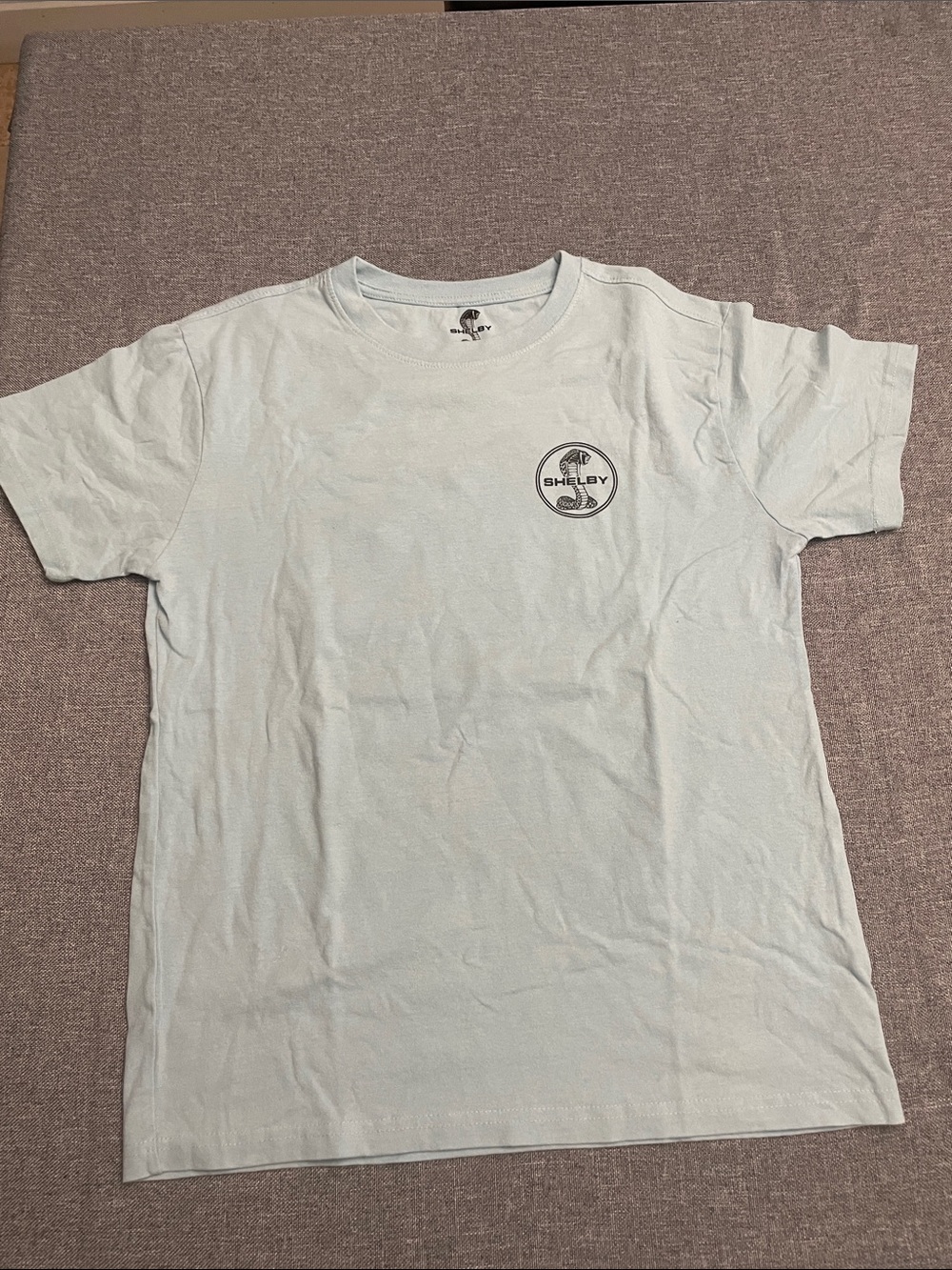 Selby Pale Blue Short Sleeve Crew Neck Tee with Chest Logo